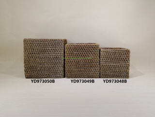 2019 Cement flower pot NEW