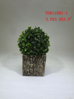 Cube Concrete planter pots with wood looks finished