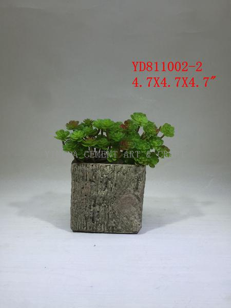 Cube Concrete planter pots with wood looks finished