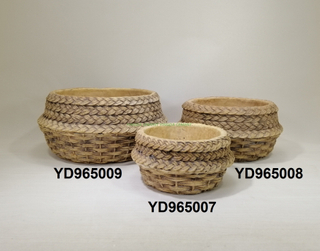 2019 Cement flower pot NEW