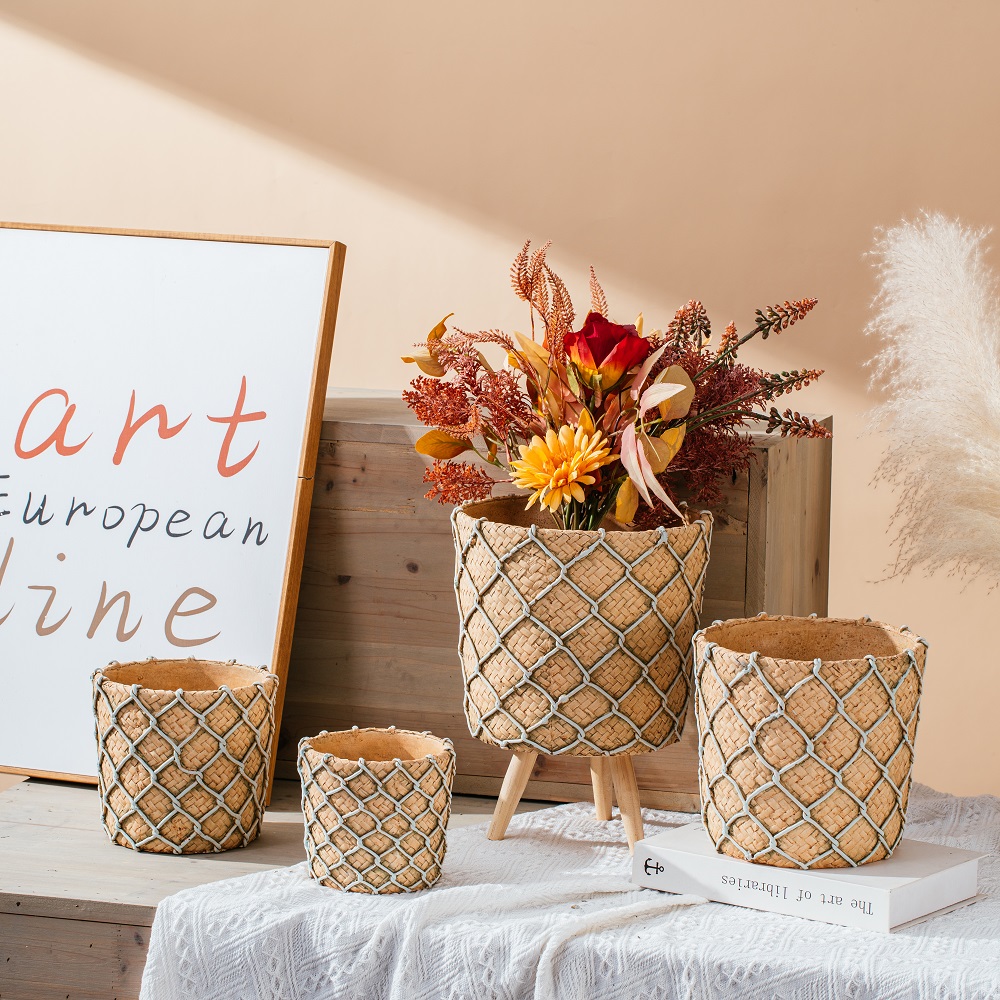 pattern design succulent plant pot indoor cement flower pot decoration pots