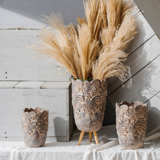 Durable Simple Fleshy Cement Small Potted Plant Pot for Creative Customizable Indoor Use
