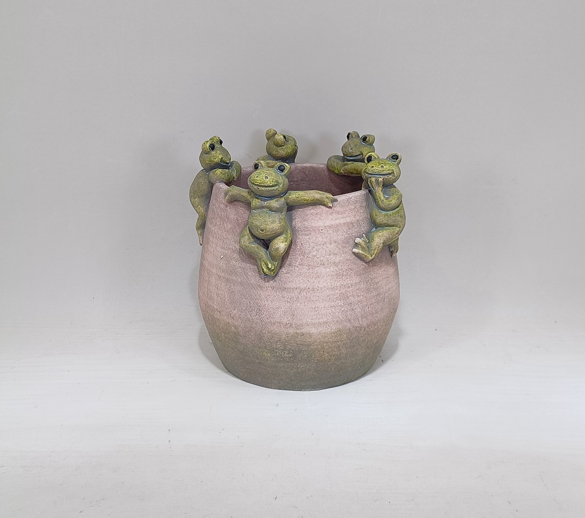 Frog emboss design succulent plants pot cement flower pot for decoration