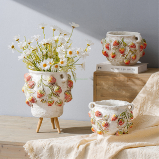 Pots Hot Sale Creative Succulent Planter Morden Fruit Pot