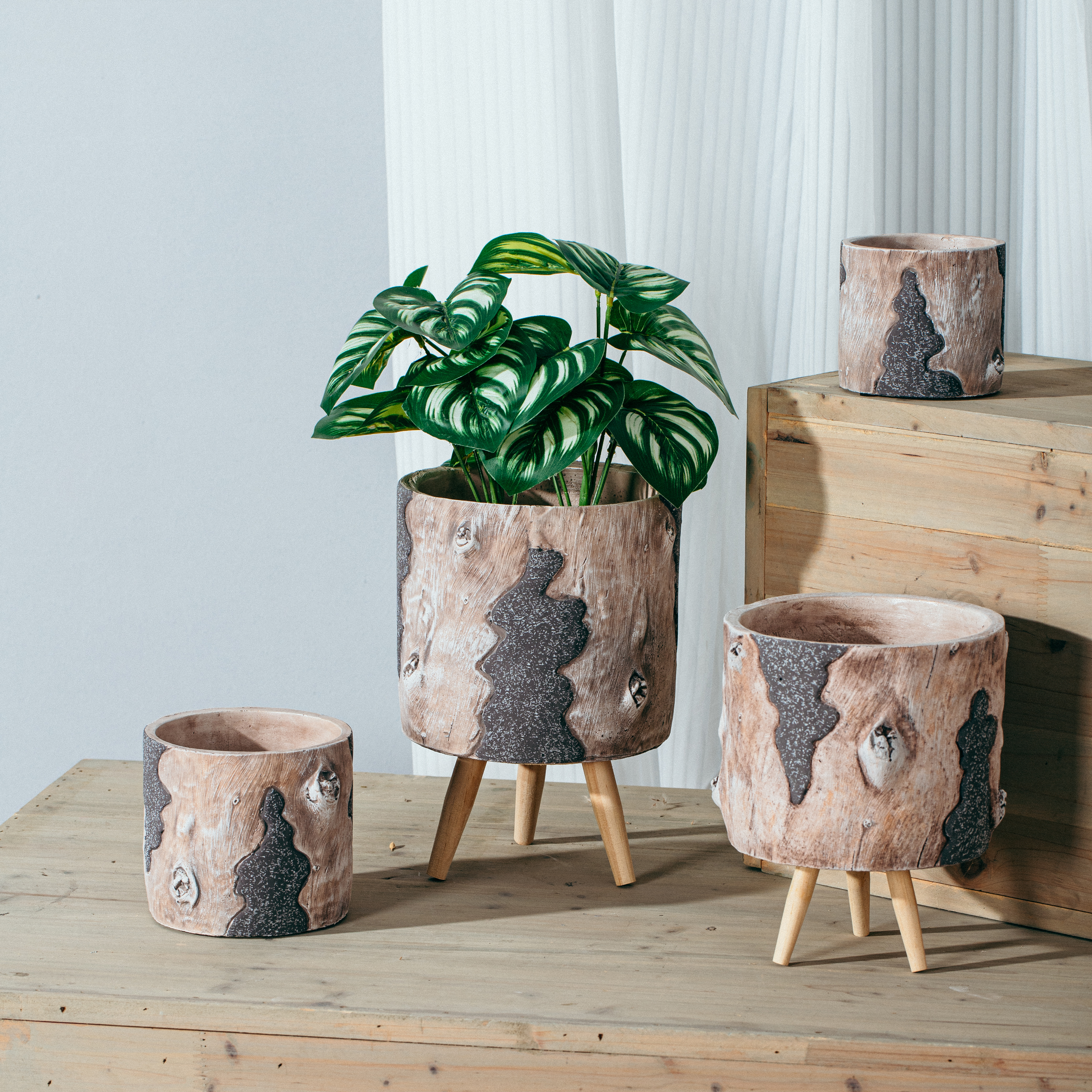 New Arrival Indoor Outdoor Succulent Planter Creative Christmas Decoration Cement Plant Pots for Sale