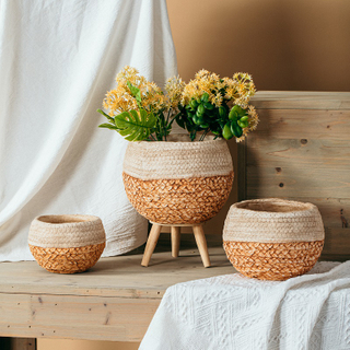 New arrival round ball shape matte concrete cactus pots cement flower pot for garden plants