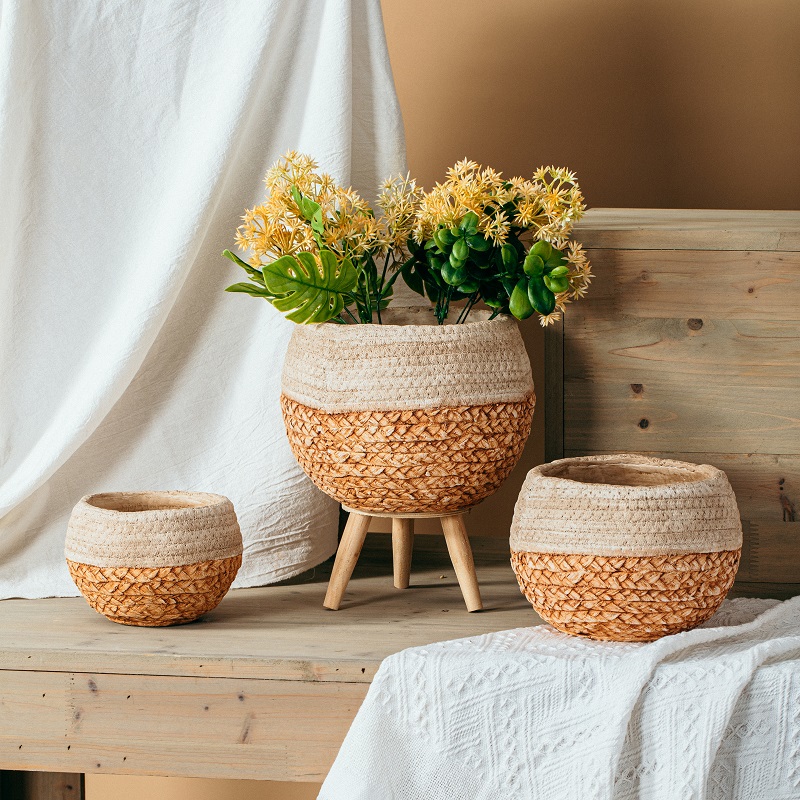 New arrival round ball shape matte concrete cactus pots cement flower pot for garden plants